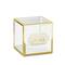 Kate Aspen® Gold Frame Acrylic Collapsible Card Box